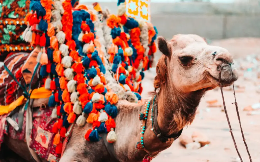 Traditions That May Have Seemed Distant and Unfamiliar Travel Also Encourages Personal Growth